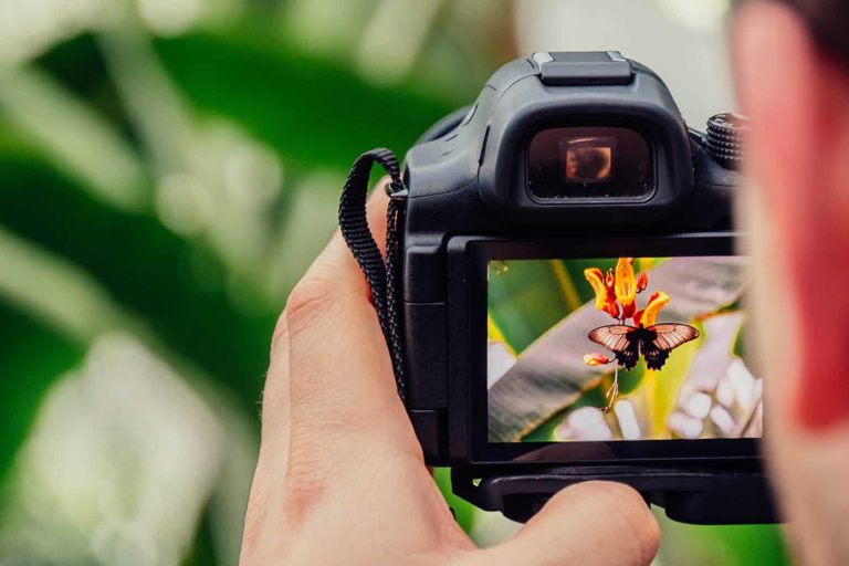 a beginner's guide to photography