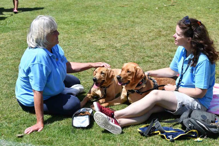 “Being able to give back is really rewarding” – Gus, 59 on volunteering with Guide Dogs UK