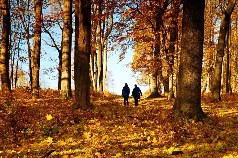 Feeling the end of summer blues? Here are 11 reasons why autumn is the best season